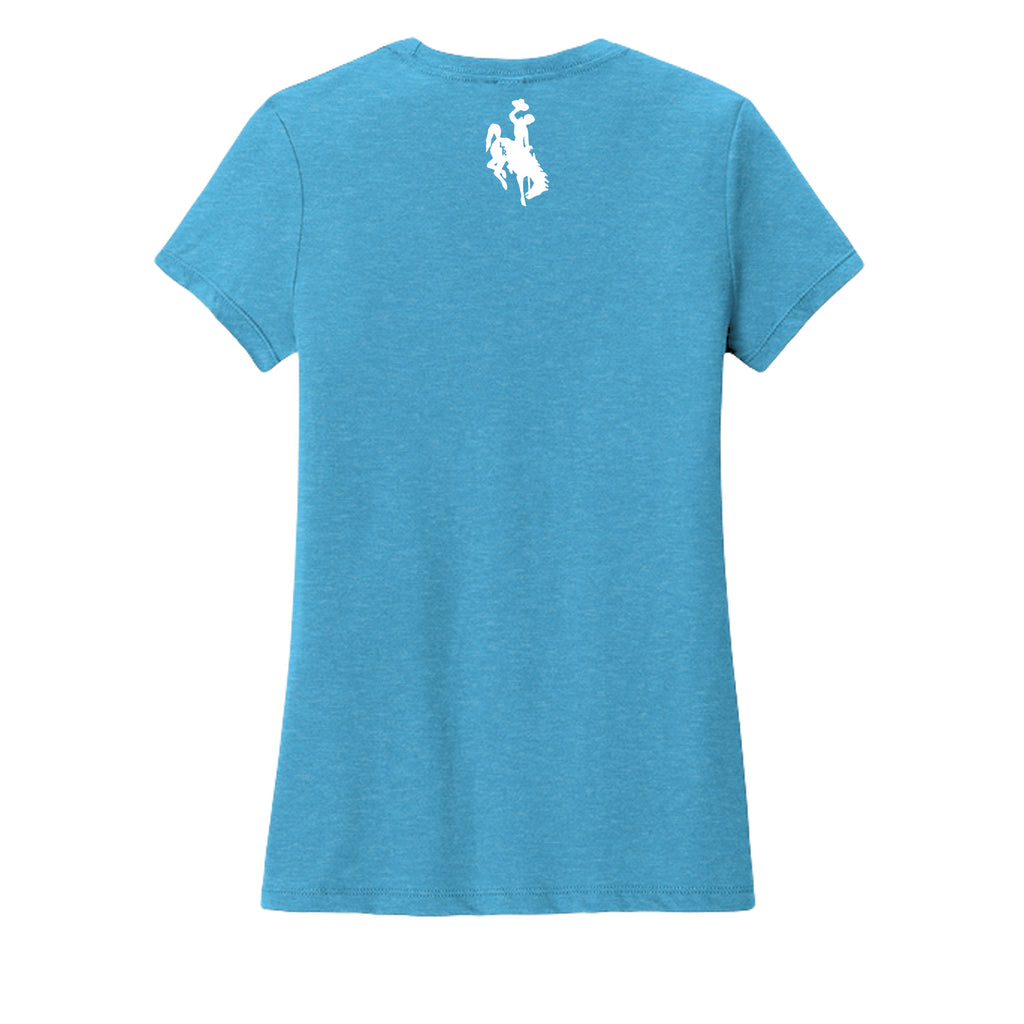Turquoise Frost - DM130L - BACK