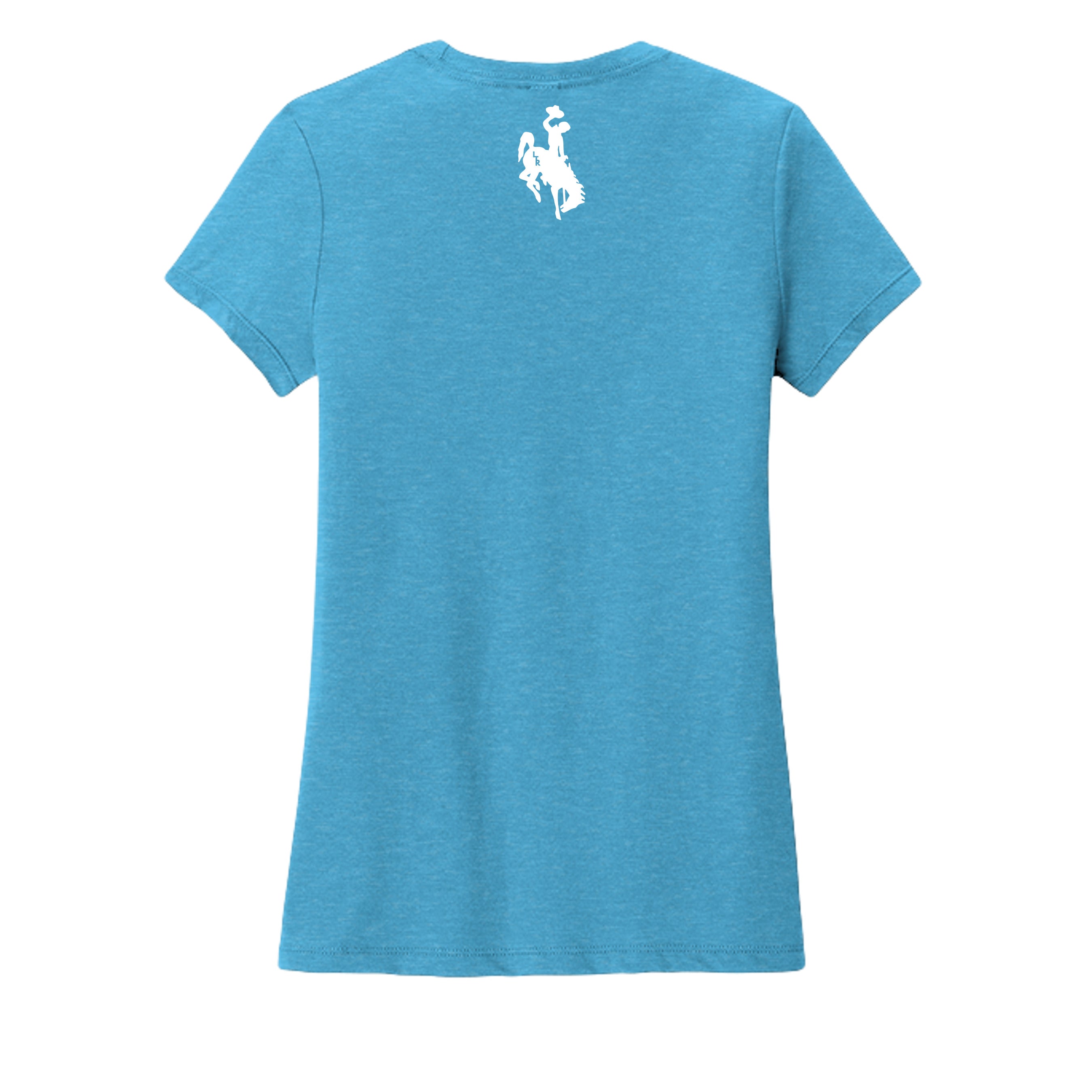 Turquoise Frost - DM130L - BACK