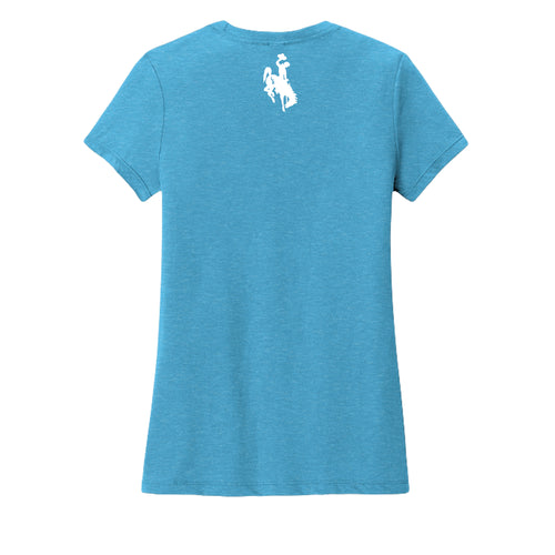 Turquoise Frost - DM130L - BACK